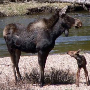 Meet your Posher, Jan